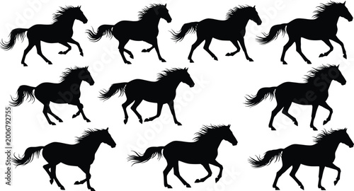 Bild auf Leinwand Horse silhouette set with running and galloping poses for equestrian design, ani