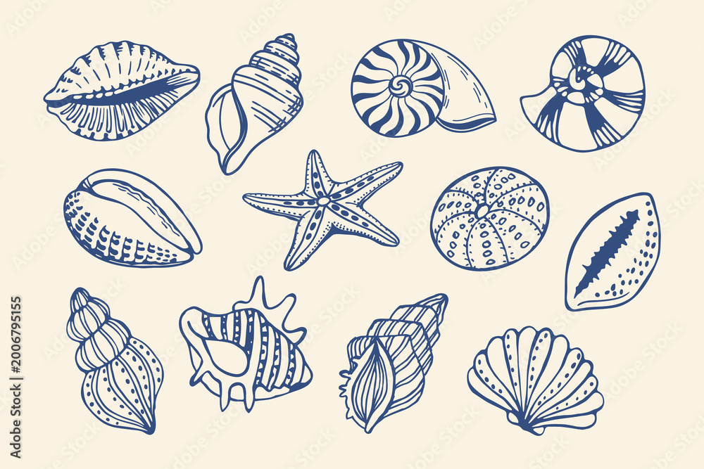 Fototapeta premium Mediterranean seashells set. Blue hand drawn marine icons. Sketch illustrations.