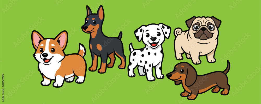 Obraz premium Cute Cartoon Dogs Playful Corgis Dachshunds Pugs in Fluffy Fur Colors vector illustration