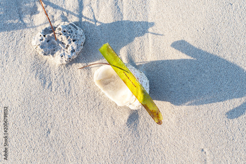 Top view of a minimalist composition on a fine white sand beach. The image features a piece of porous white coral, a seashell, and a green red mangrove propagule (Rhizophora mangle). 