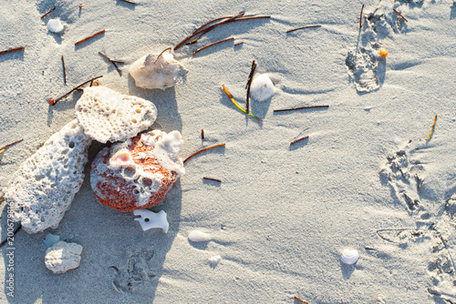 Natural marine debris and coral fragments on the white sand of Varadero, Cuba. 