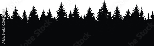 Tableau sur toile Forest silhouette with dense pine trees horizon, evergreen woodland landscape is