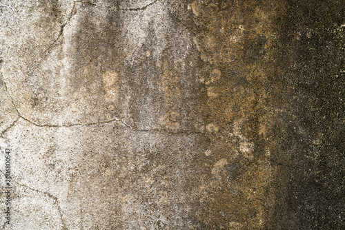 Abstract background, the wall has cracks and there are fungi and moss on the white wall.