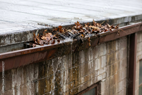 Overflowing blocked gutter with leaves and debris, water cascading over edge, drainage failure concept