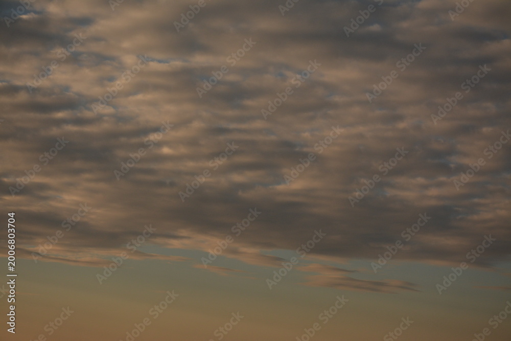 Obraz premium Cirrus blue-gray clouds in the evening sky. Background