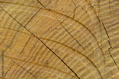  wood texture background brown rough surface macro shot of cracked timber material with natural grain and saw marks in warm lighting concept of carpentry, construction, interior design