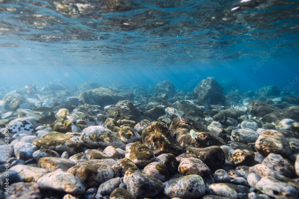 Fototapeta premium Underwater ocean with stones sea bottom, sun rays in blue water.