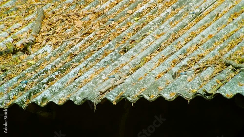 Rustic tin roof texture showing weathered pattern and aged surface in rural outdoor environment setting