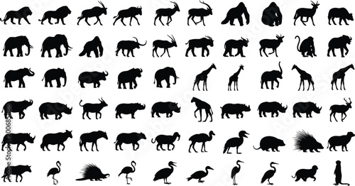 Photography Large wild animal silhouettes mega collection with mammals birds safari species