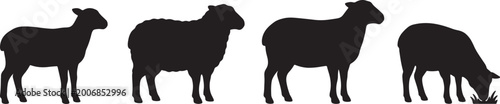 Foto Four black sheep silhouettes, two standing, one with shaggy wool, one grazing on