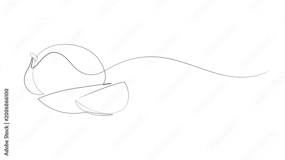 Obraz premium Minimalist Continuous One-Line Drawing of a Whole Mango and Two Sliced Pieces, Summer fruit vector line art.