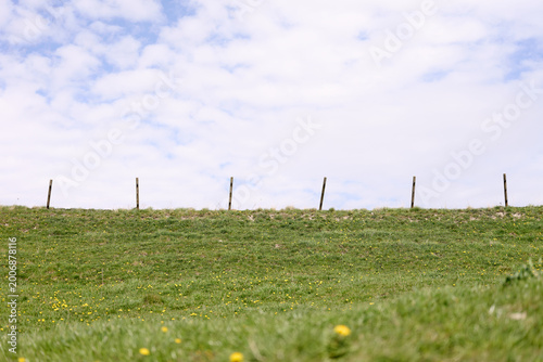 Minimalist Nordic Green Meadow with Wooden Fence Posts Under Soft Blue Sky