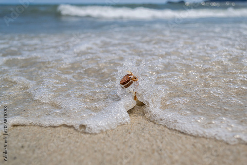 Konstfotografi Message in a bottle in sea wave splash on sandy beach, concept of communication