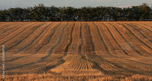Photos brawn stubble-field