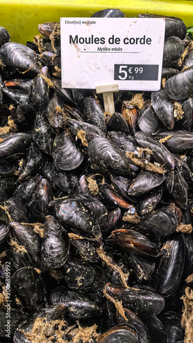 Fresh mussels on display with price tag in supermarket seafood section
