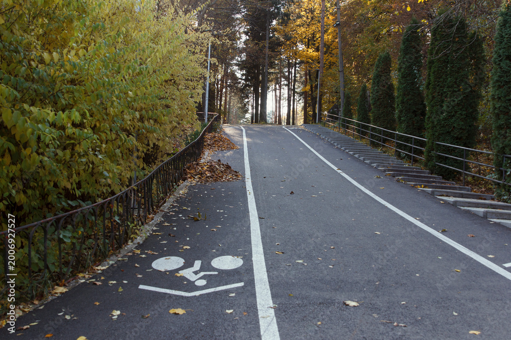 Obraz premium A winding pathway through a park surrounded by autumn foliage. White dividing lines for cyclists and pedestrians are drawn on the road