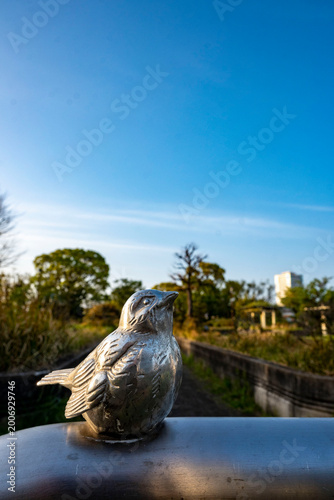 Foto 横須賀26412　緒明山公園3