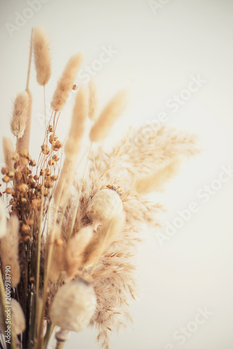 Dried pampas grass and bunny tail bouquet on light background.