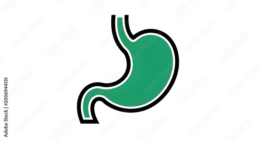 Fototapeta premium Green stylized stomach icon on white background