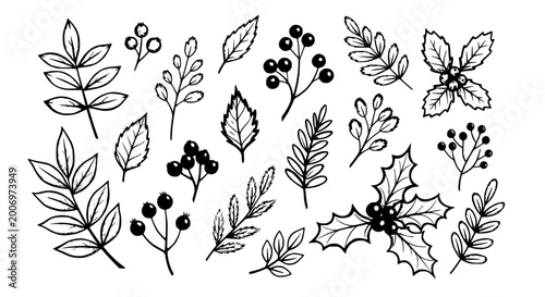 Hand-drawn Botanical Elements: Leaves and Berries Clipart, Winter Holiday Motifs