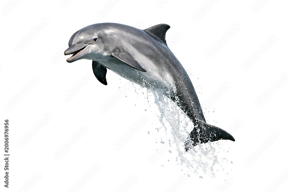 Obraz premium dolphin leaping from ocean waves in black and white high contrast monochrome