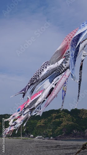 海岸の鯉のぼりイベント　縦長ビデオ