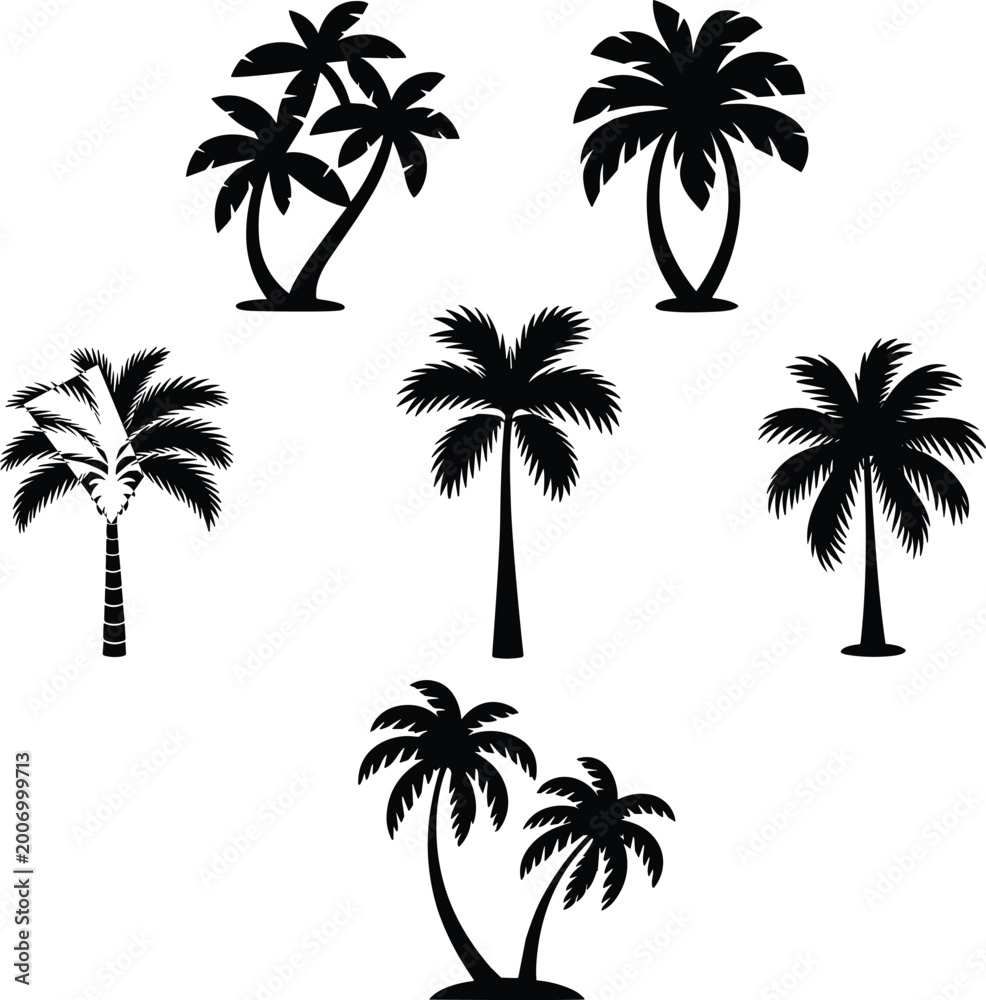 Fototapeta premium Palm tree silhouette set isolated on white background tropical nature design elements for summer beach themes