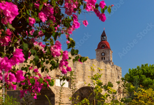 Clock tower above medieval walls with pink flowers in Rhodes Greece