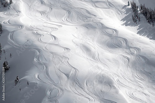 Aerial view of a snow-covered mountain slope crisscrossed by flowing ski and snowboard tracks with scattered evergreen trees, evoking exhilaration and serene calm