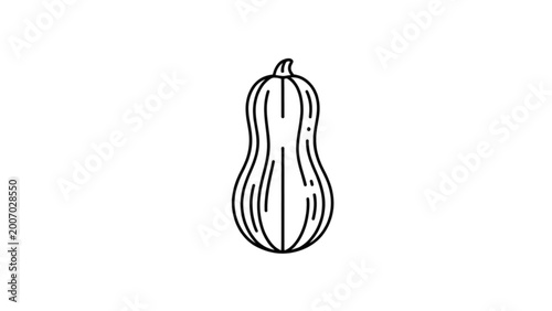 Photos Simple black and white illustration of a butternut squash vegetable Vector