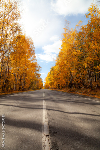 Cuadro en lienzo Dividing strip close-up. The road among the autumn forest.