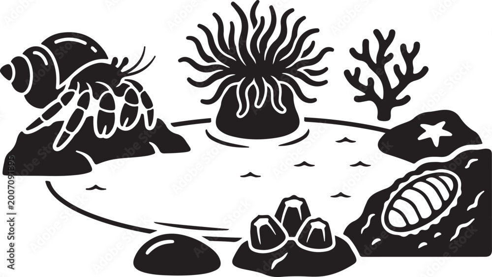Fototapeta premium Black and white of a tide pool ecosystem featuring a hermit crab, sea anemone, coral branch, starfish, and barnacles on rocky surfaces
