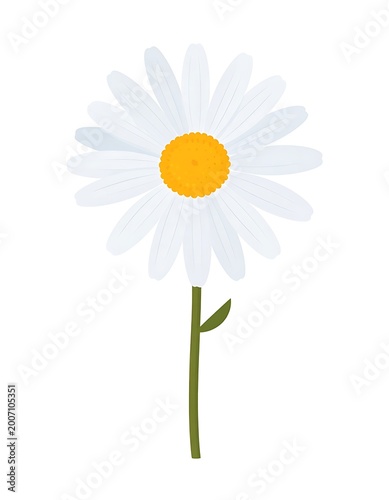 Simple white daisy flower illustration.