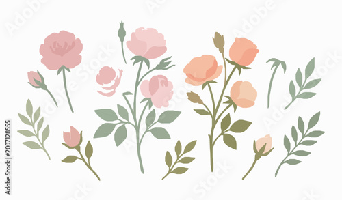 Minimal vintage roses set with hand drawn gouache botanical floral vector illustration isolated on white background