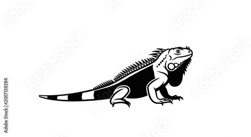 Obraz na płótnie Black and white iguana illustration on white background isolated image