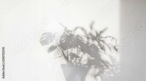Blurred plant shadow casting delicate patterns on a white wall, creating a serene and calming atmosphere