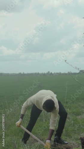 Individual carefully placing young tree into earth, Person diligently supports environment by planting new tree