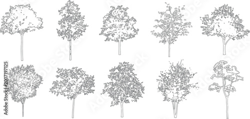 Schilderij op canvas Architectural vector set shrubs bushes trees flowers in elevation view for lands