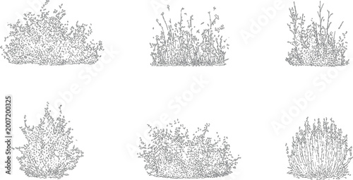 Bilde på lerret Architectural vector set shrubs bushes trees flowers in elevation view for lands