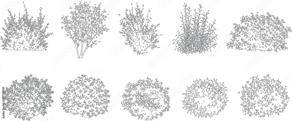 Naklejka premium Architectural plants vector set shrubs bushes trees flowers in elevation view for drawings