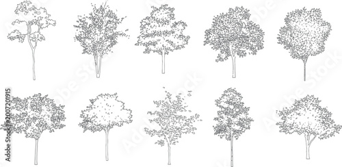 Architectural vector set shrubs bushes trees flowers in elevation view for landscape design