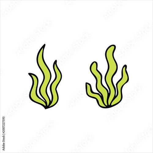 sea grass vector