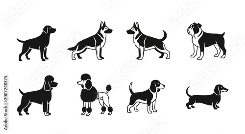 Photography Dogs of Various Breeds Standing Still.