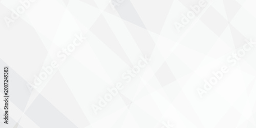 Abstract background with white and gray and geometric style with simple lines and corners, polygons as background geometric style with simple lines and corners, polygons as background paper texture