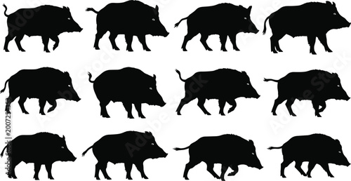 Photos Wild boar silhouette collection, animal vector icons, black wildlife artwork, na
