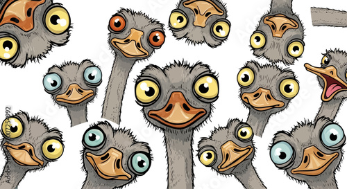 Foto Funny ostrich cartoon characters with big eyes, goofy bird heads collection on w