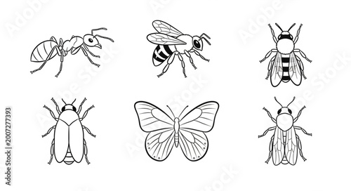 Konstfotografi Insects and a Butterfly Illustration.