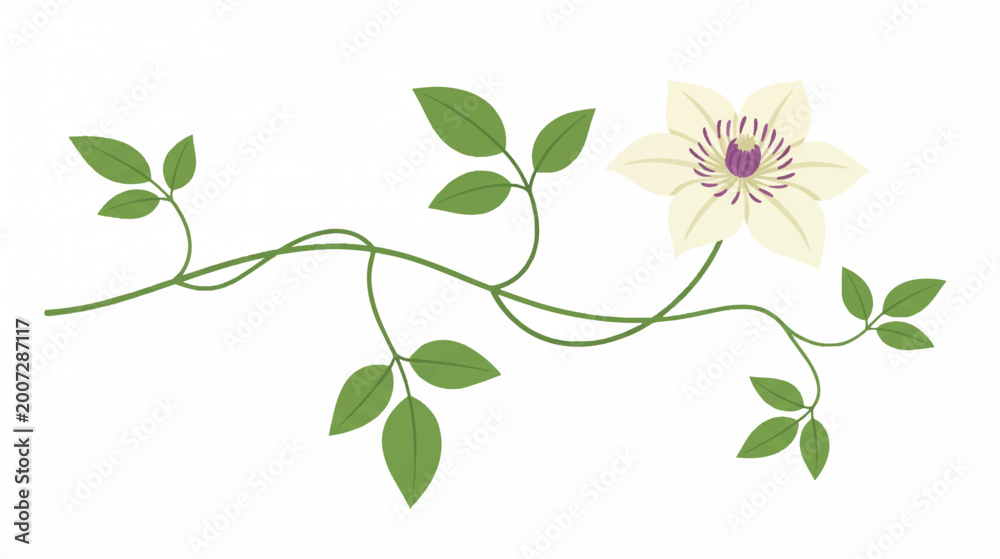 Obraz premium Elegant White Flower with Green Leaves on Vine.
