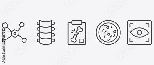 Fotografía medical and healthcare icon set with spinal column, x ray of bones, bacteria, ey