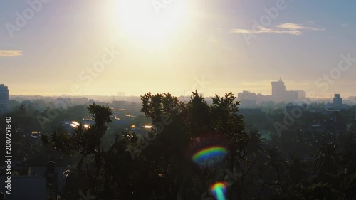 Dramatic Morning Sun Rays Through Nature in Cinematic Style